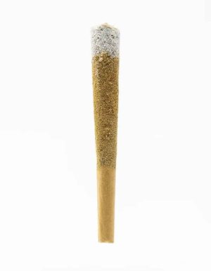 Coast-THCa-Infused-Diamond-Tipped-Pre-Rolls-main