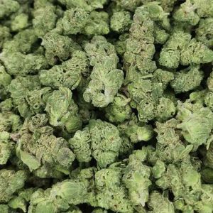 gods breath cannabis