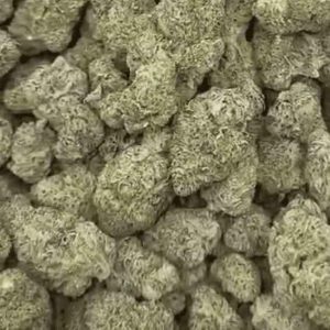 skittles-georgia-pie-exotic